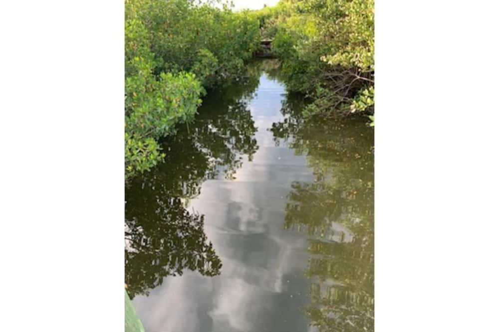 Photo of Outdoor in Edgewater