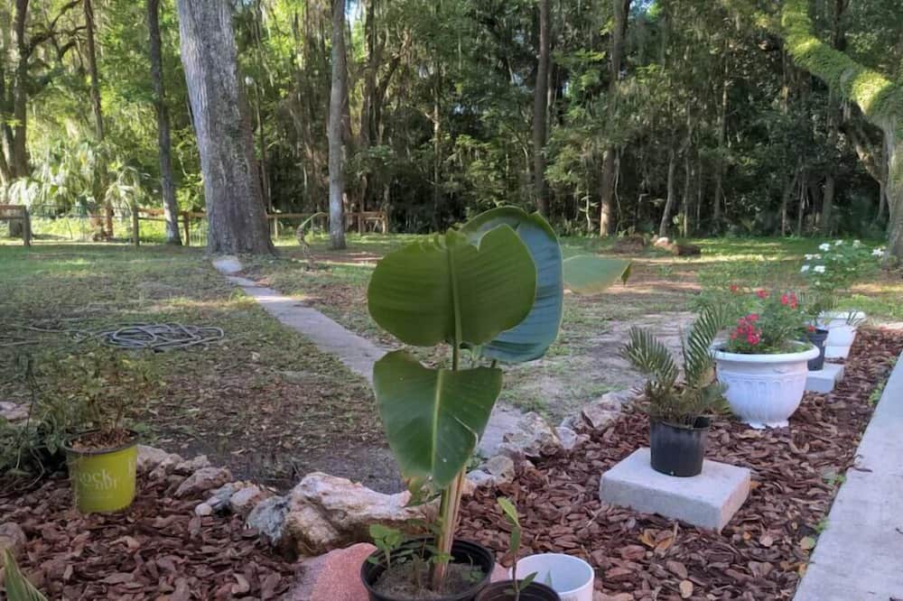 Photo of Others in Micanopy