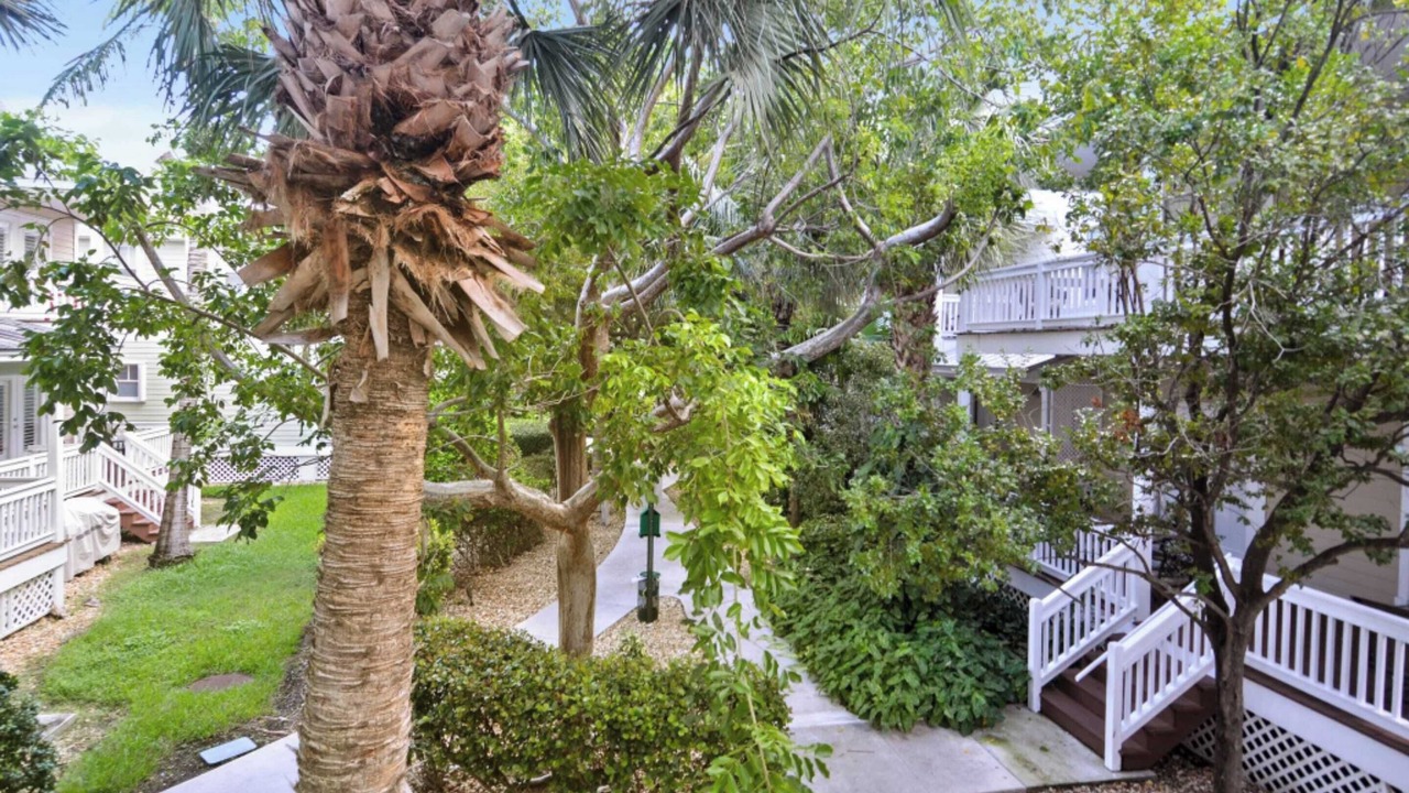 Photo of Others in Key West