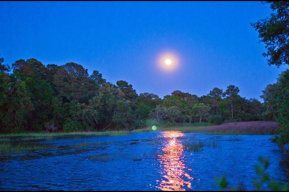 Photo of Others in Charleston