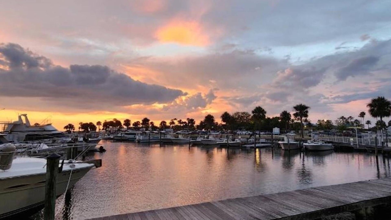 Photo of Outdoor in Ruskin