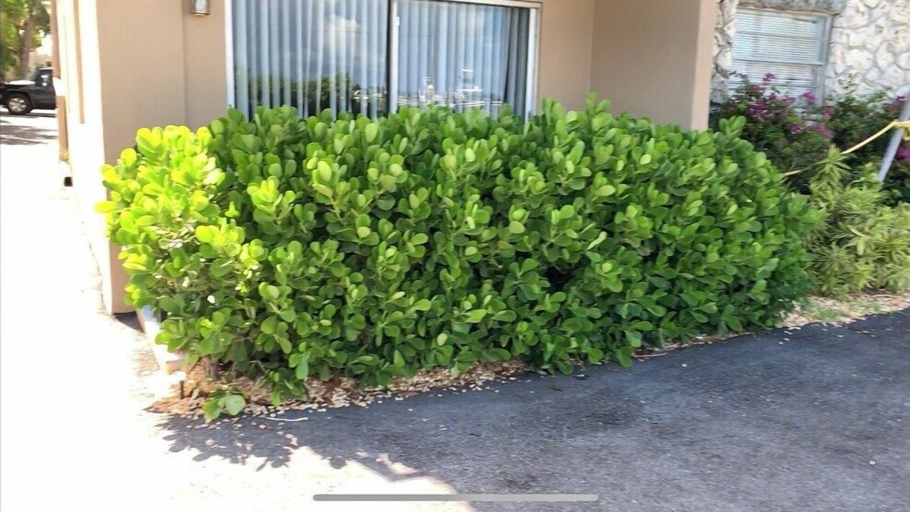 Photo of Outdoor in Palm Beach
