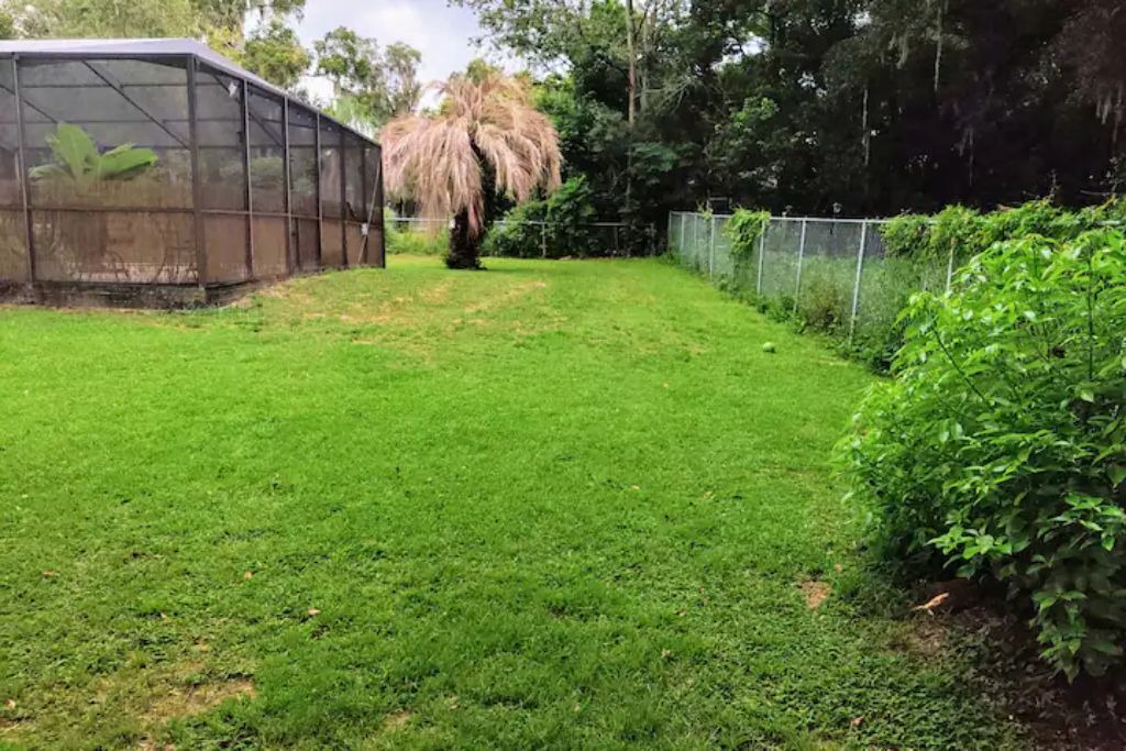 Photo of Outdoor in Dade City