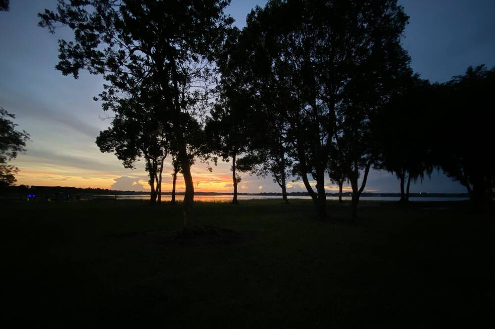 Photo of Others in Weirsdale