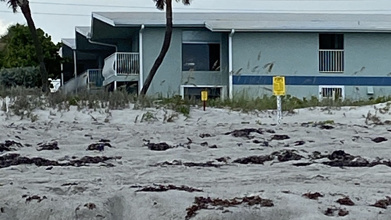 Photo of Outdoor in Crescent Beach