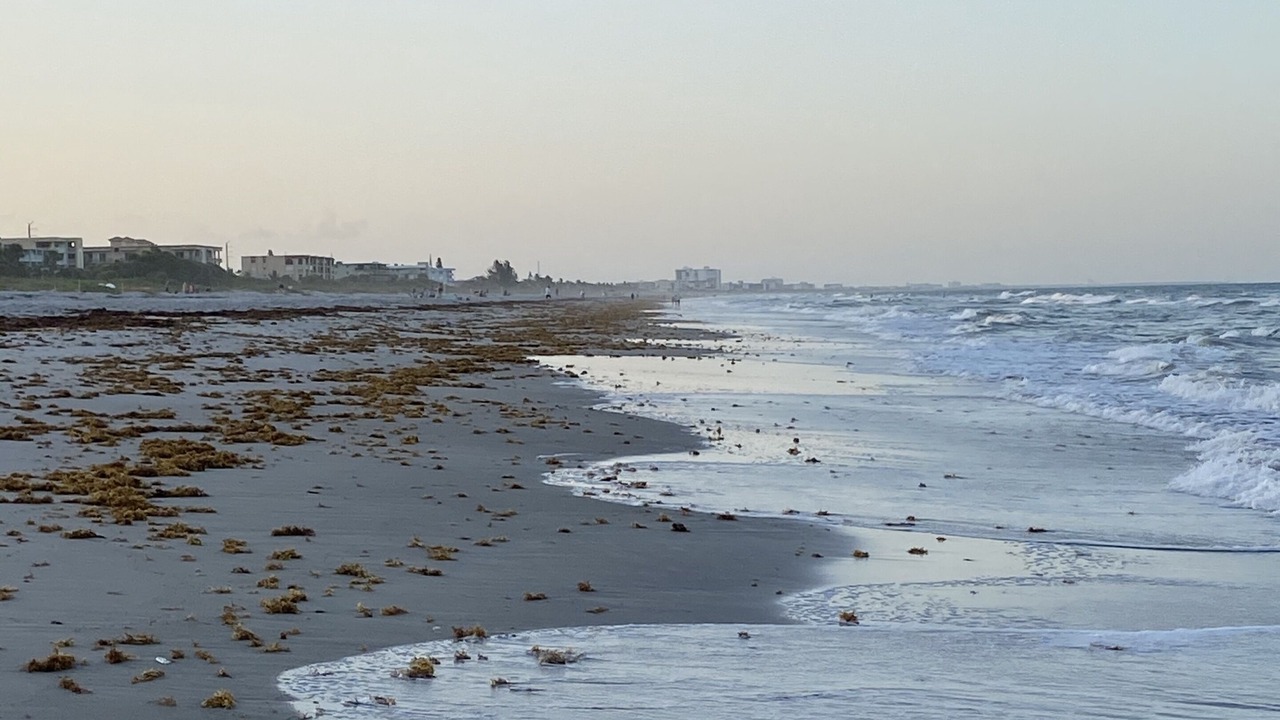 Photo of Others in Crescent Beach