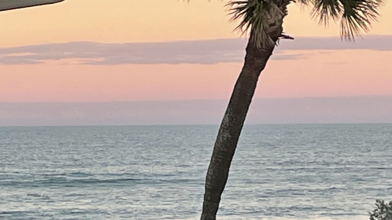 Photo of Outdoor in Crescent Beach