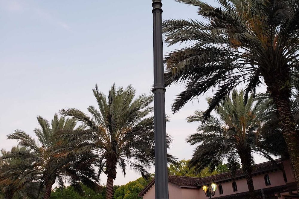 Photo of Outdoor in Greater Groves