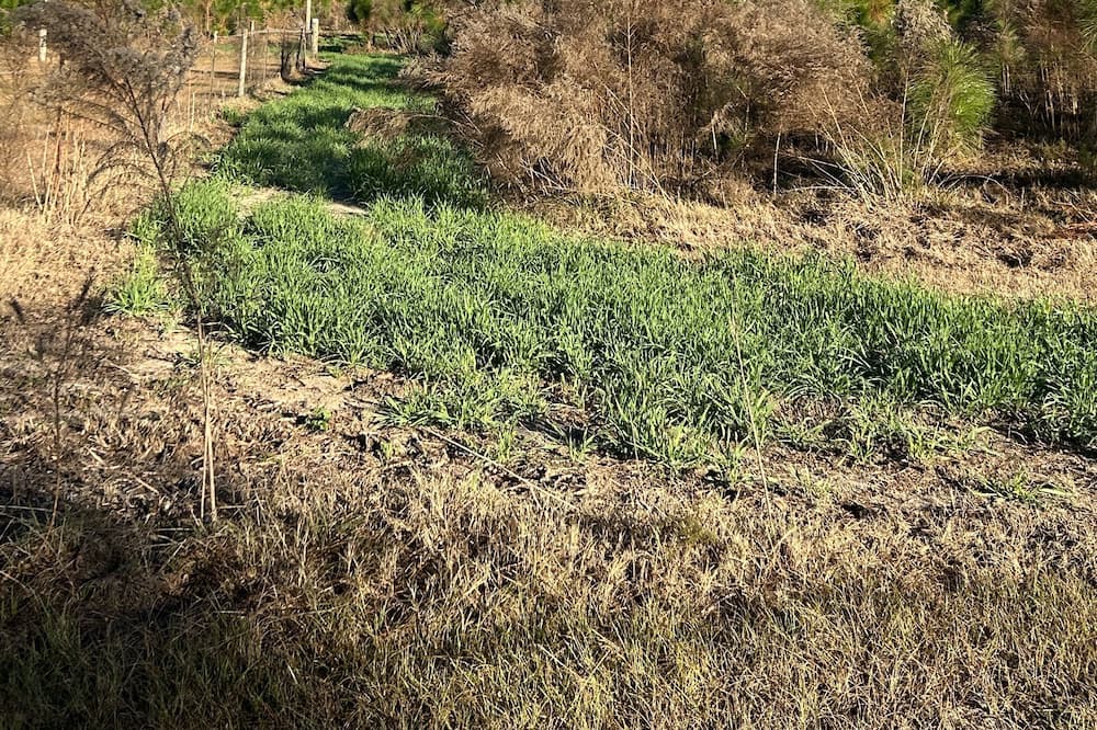 Photo of Outdoor in Boys Ranch