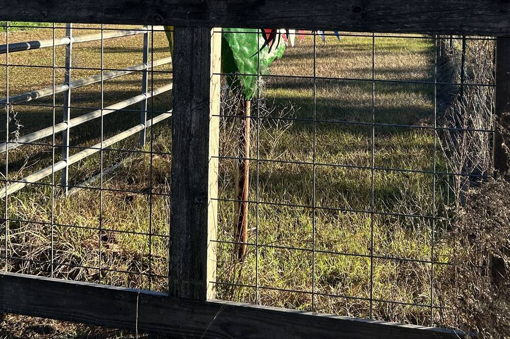 Photo of Outdoor in Boys Ranch