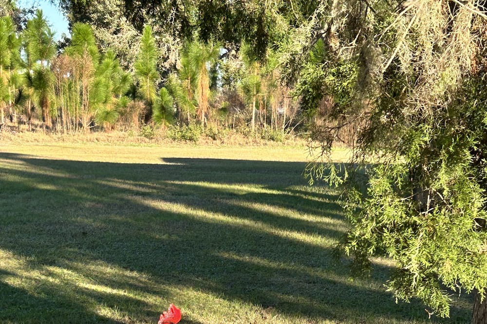 Photo of Outdoor in Boys Ranch