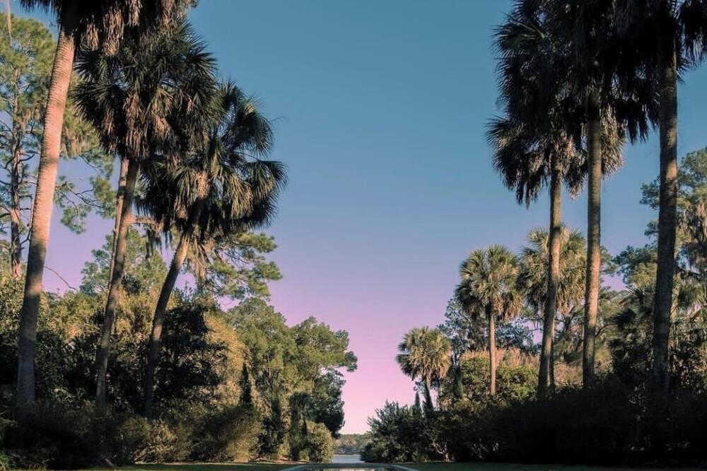 Photo of Outdoor in Tallahassee