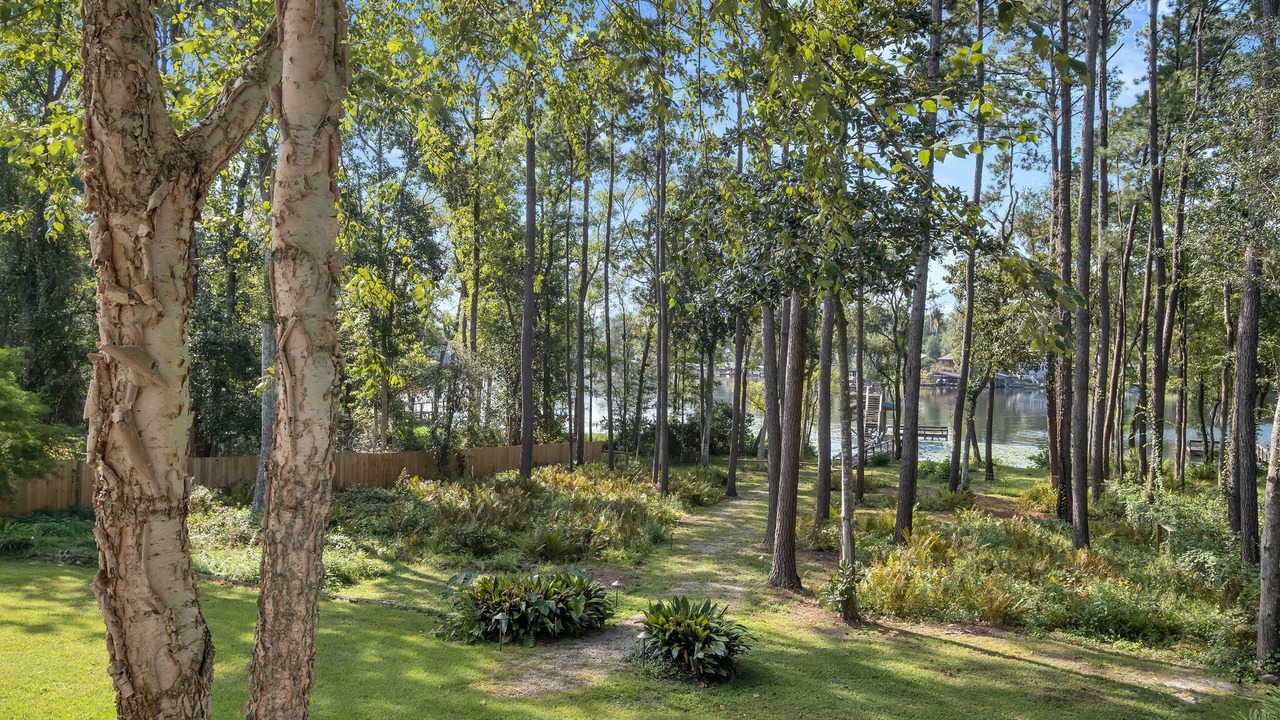 Photo of Outdoor in Telogia