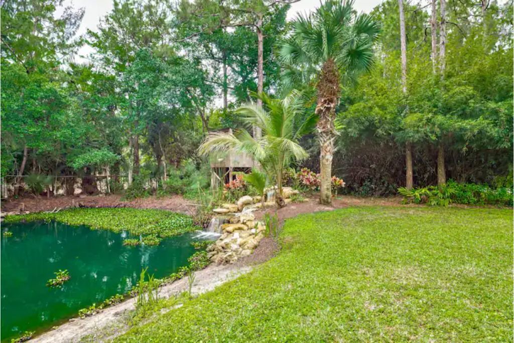 Photo of Outdoor in Jupiter Farms