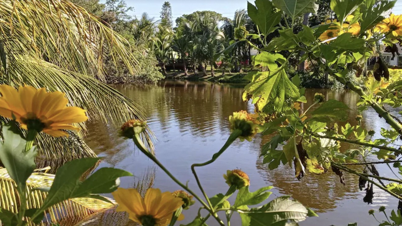 Photo of Outdoor in North River Shores