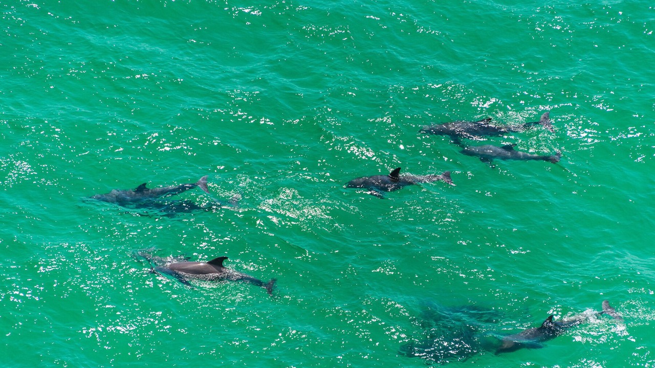 Photo of Outdoor in Sandestin