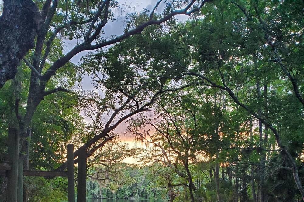 Photo of Outdoor in Chiefland