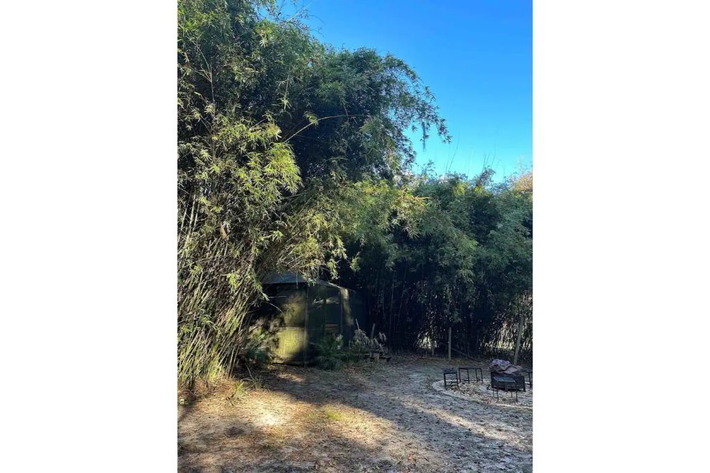Photo of Outdoor in Fort White