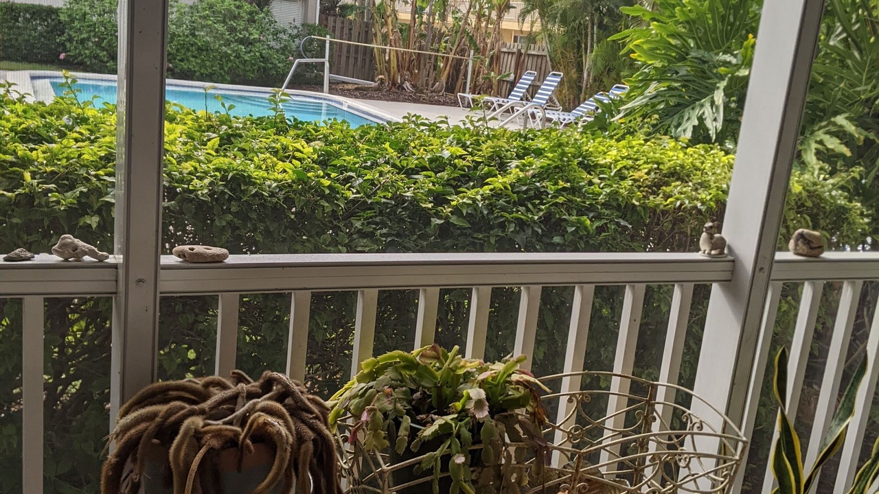 Photo of Outdoor in Alta Vista