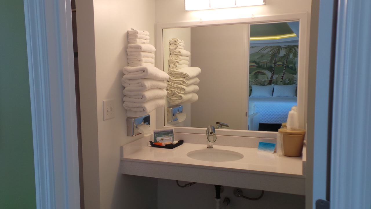 Photo of Bathroom in North Redington Beach