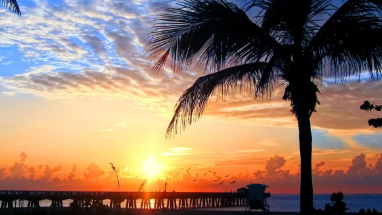 Photo of Outdoor in Ocean Ridge