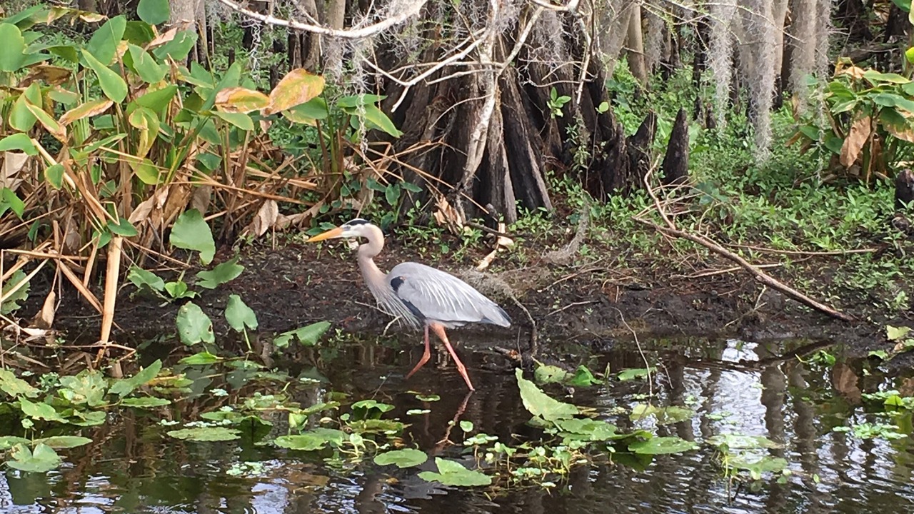 Photo of Others in Cassadaga