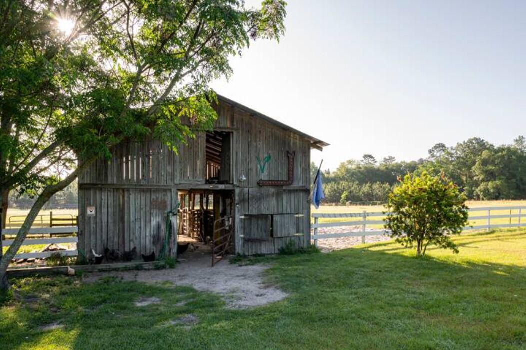 Photo of Outdoor in Live Oak