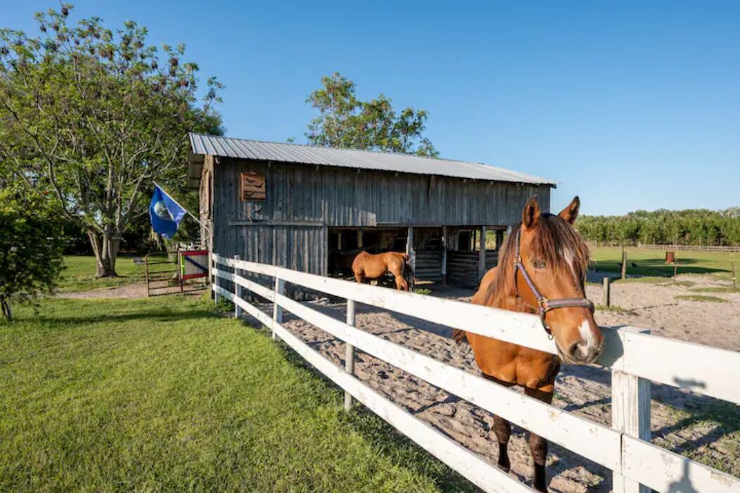 Photo of Outdoor in Live Oak