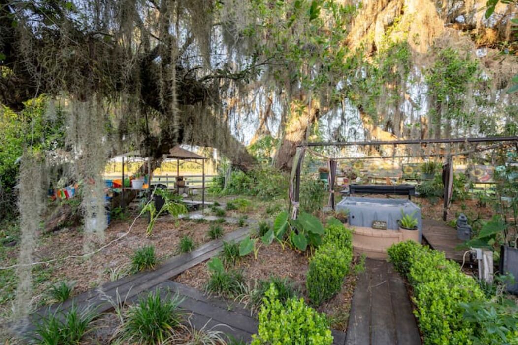 Photo of Outdoor in Live Oak