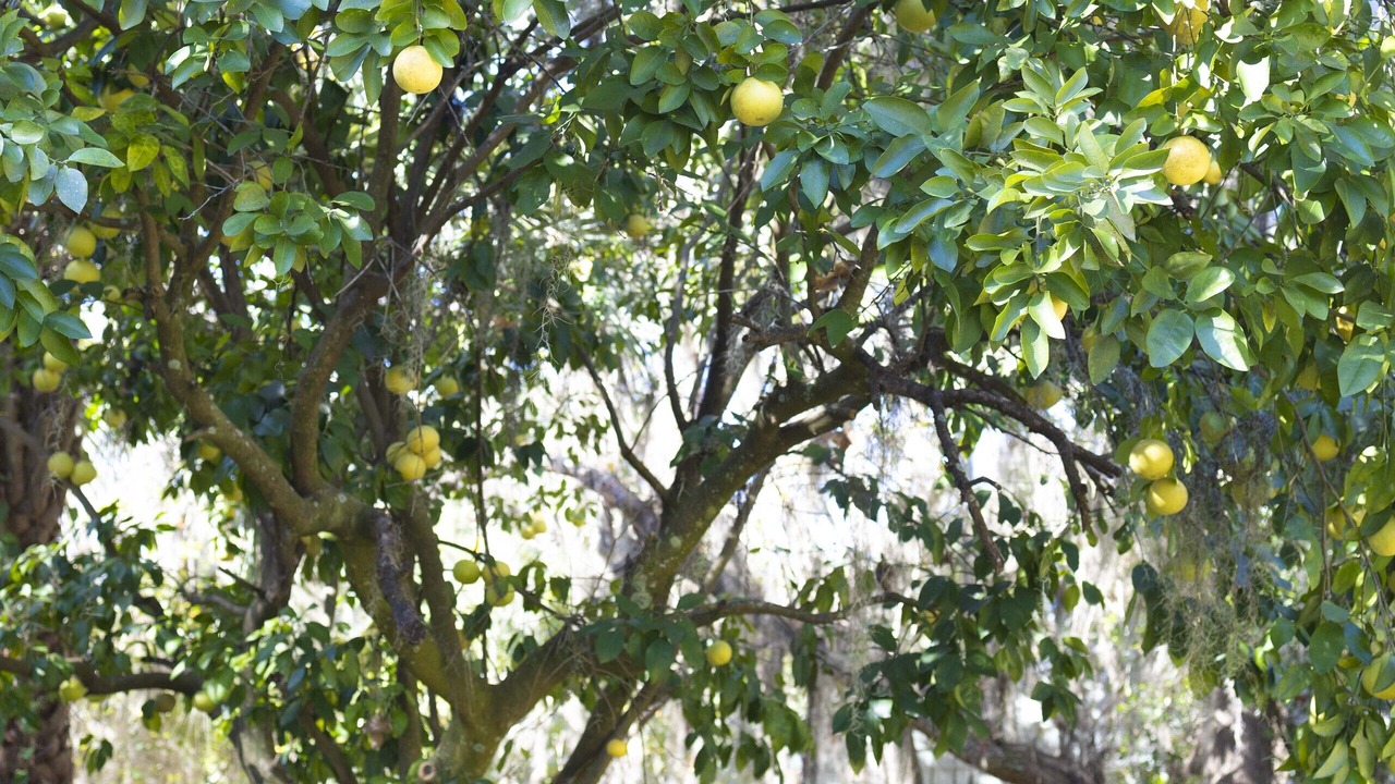 Photo of Outdoor in Lake City