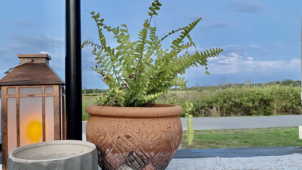 Photo of Outdoor in Arcadia