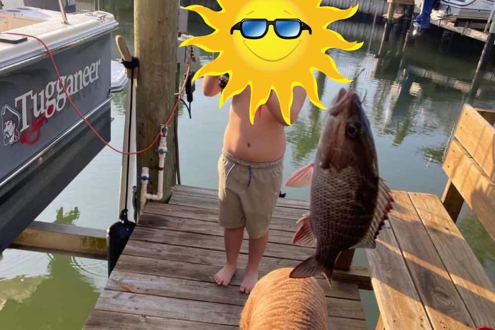 Photo of Outdoor in Coquina Key