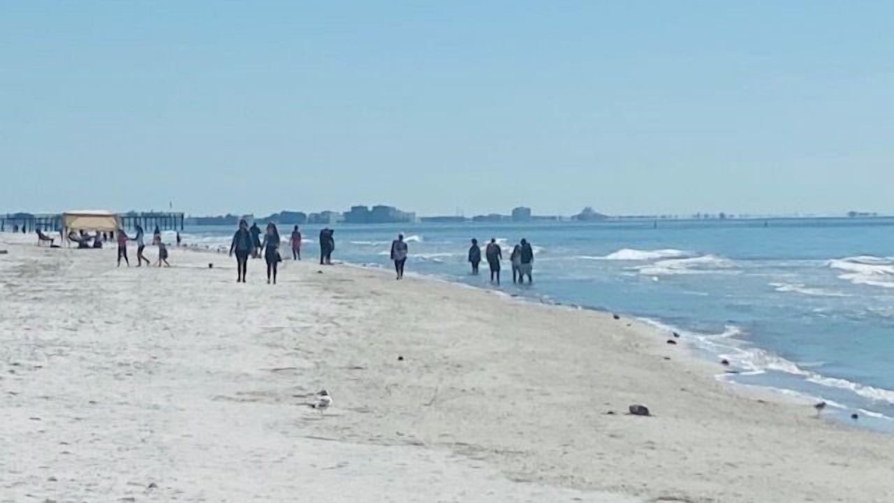 Photo of Others in North Redington Beach