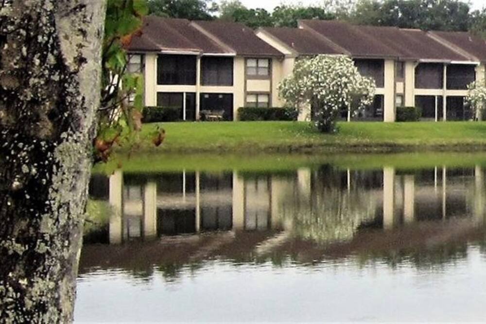 Photo of Others in Oldsmar