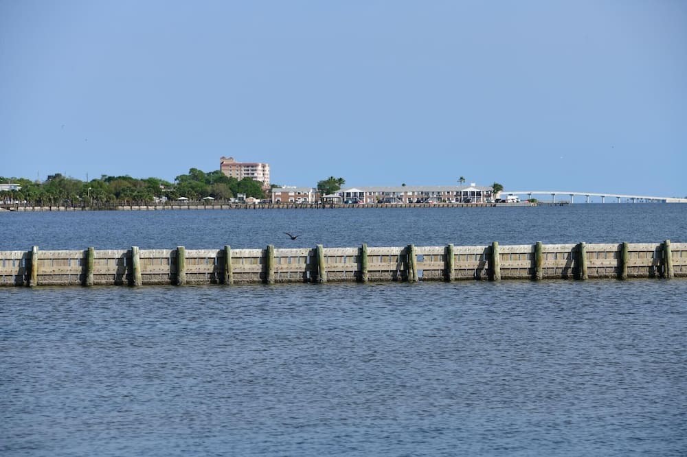 Photo of Others in Titusville