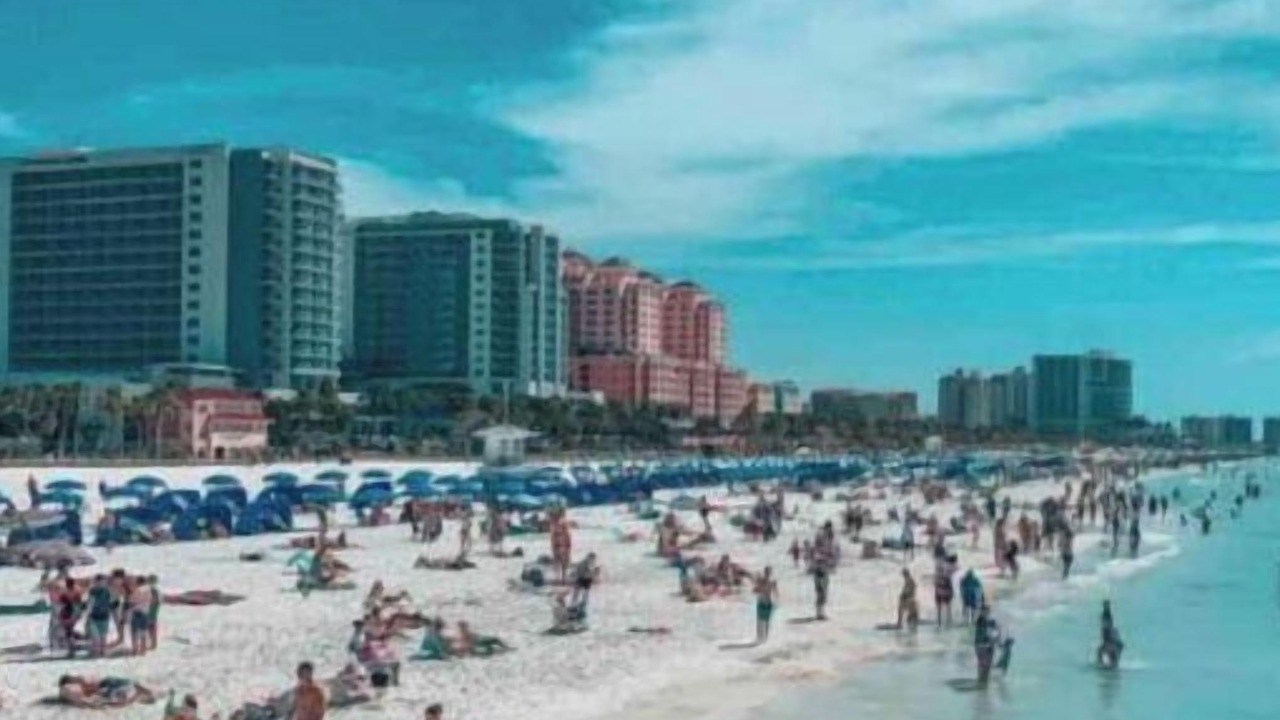 Photo of Others in Clearwater