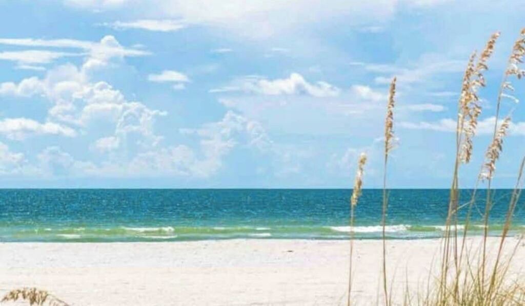 Photo of Others in Clearwater