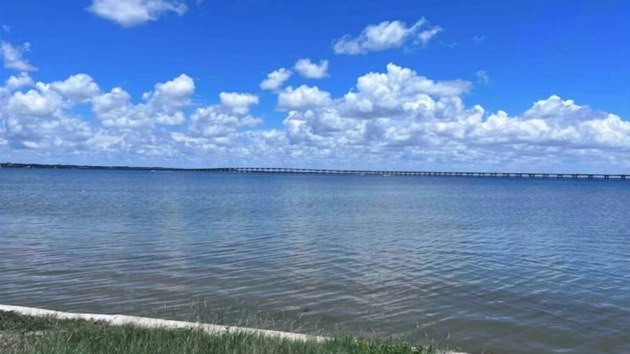 Photo of Outdoor in Clearwater