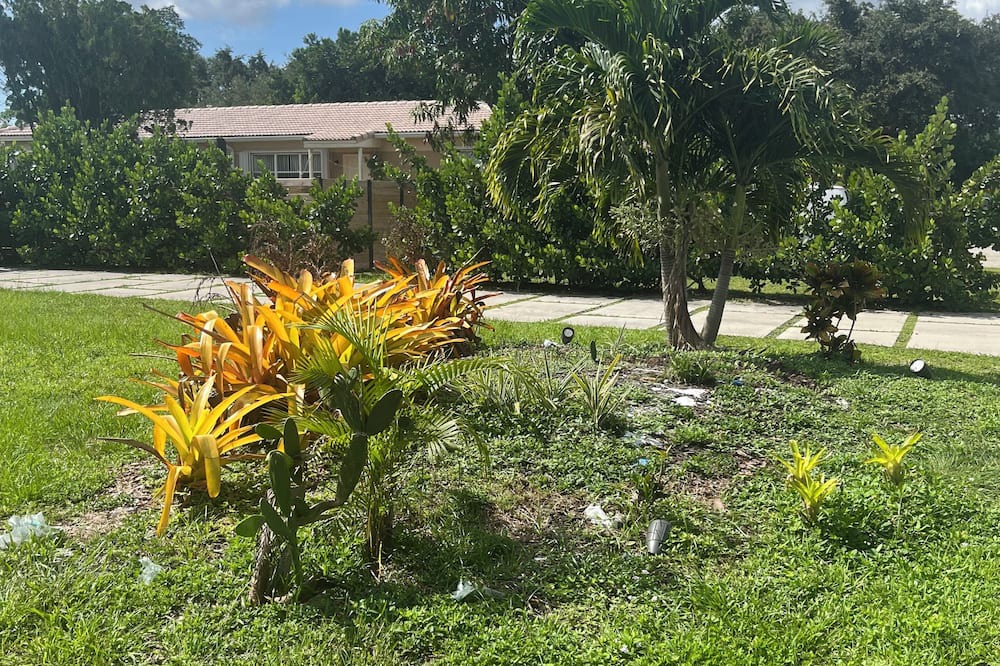 Photo of Outdoor in Biscayne Park