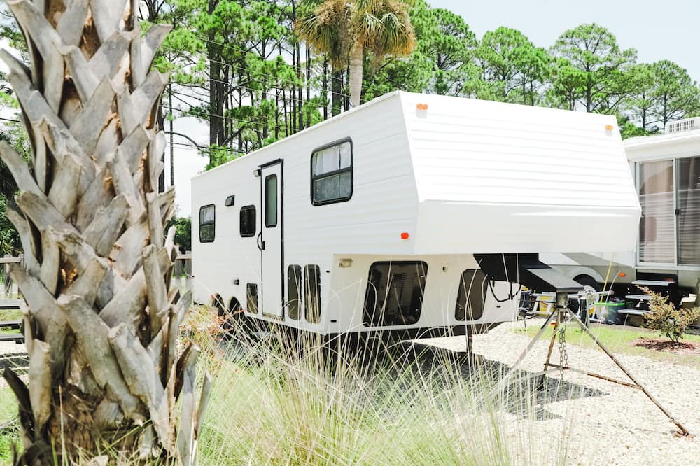 Photo of Outdoor in Ochlockonee Bay
