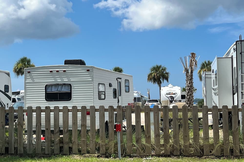 Photo of Others in Ochlockonee Bay
