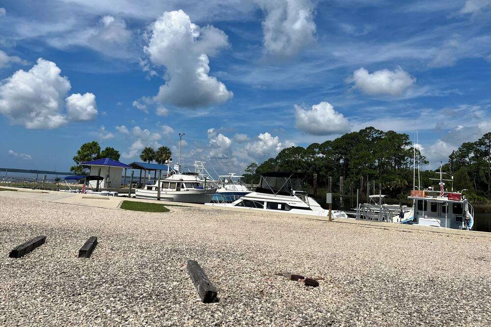 Photo of Outdoor in Ochlockonee Bay