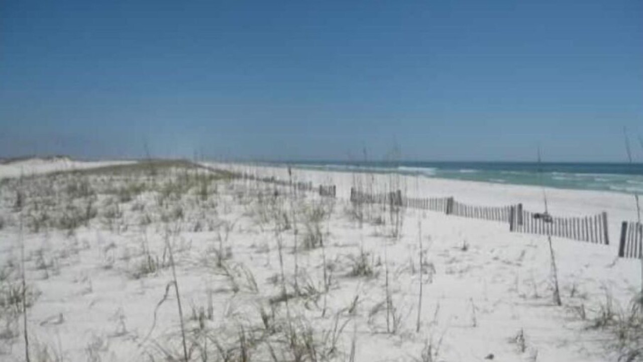 Photo of Others in Northeast Pensacola
