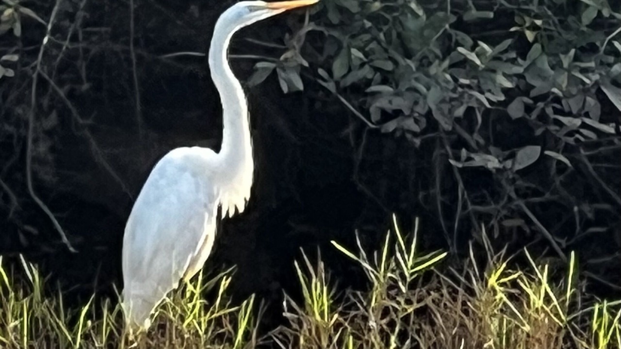 Photo of Outdoor in Palatka