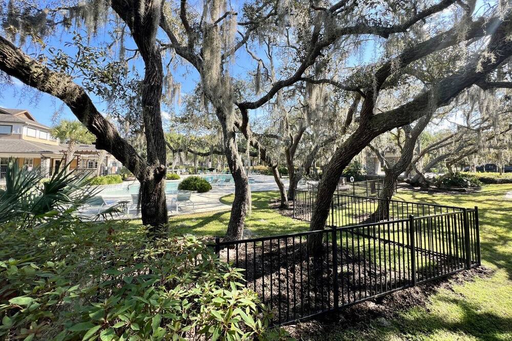 Photo of Others in Citrus Park