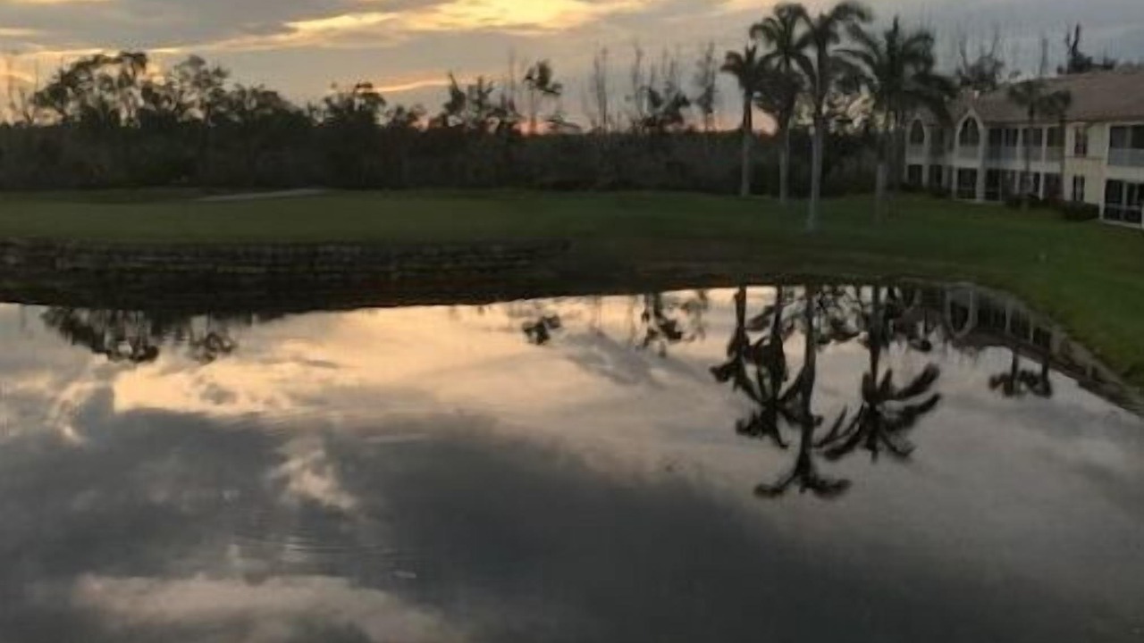 Photo of Outdoor in Tropical Cove