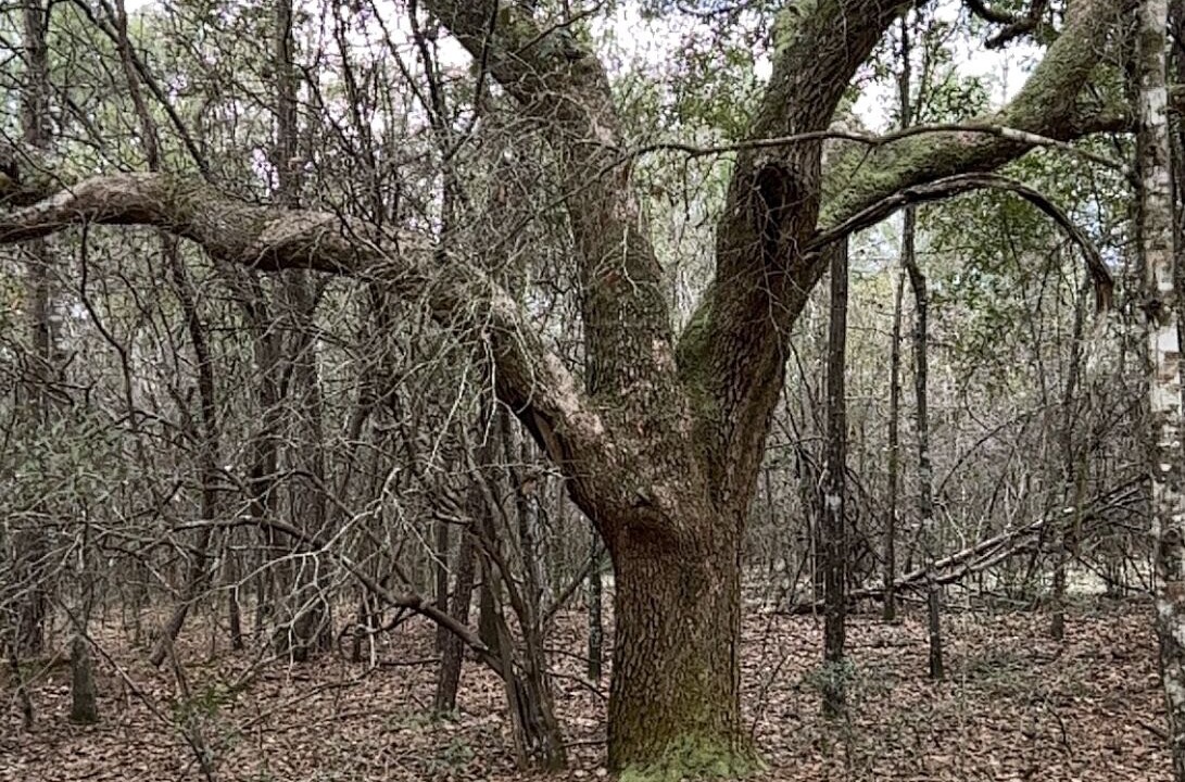 Photo of Outdoor in Washington County