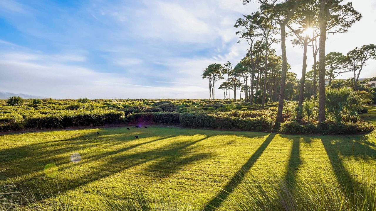 Photo of Others in Hilton Head Island