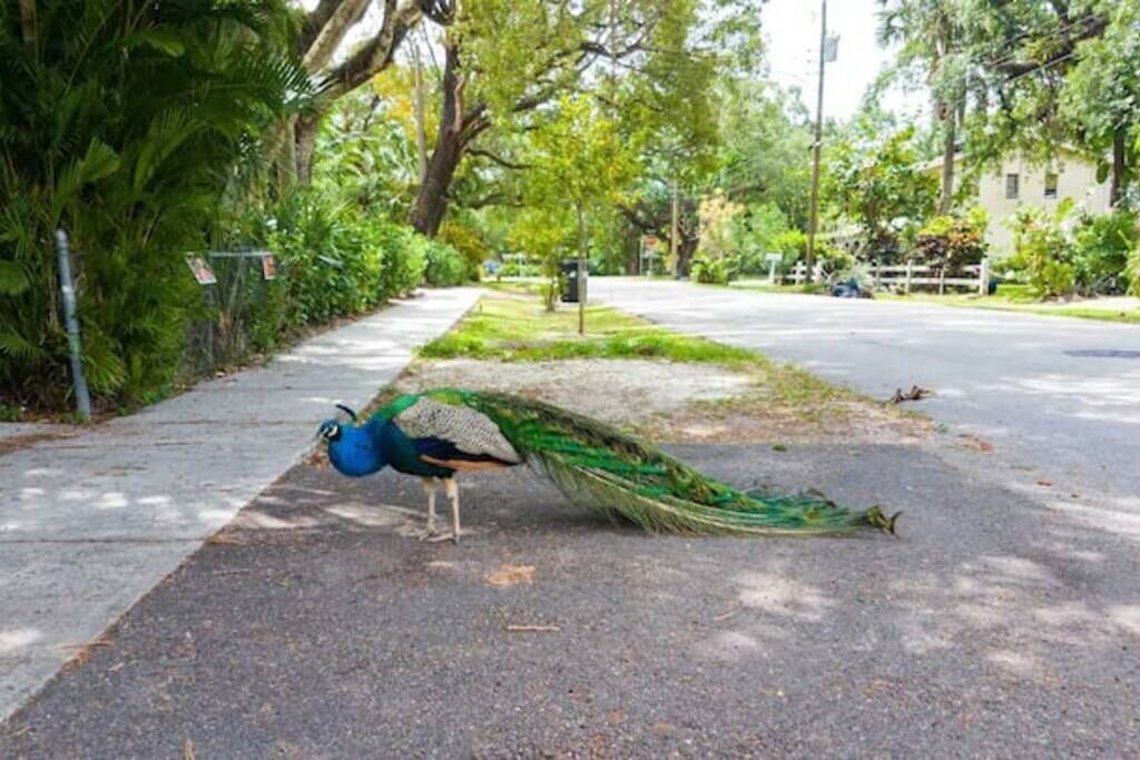 Photo of Others in River Oaks