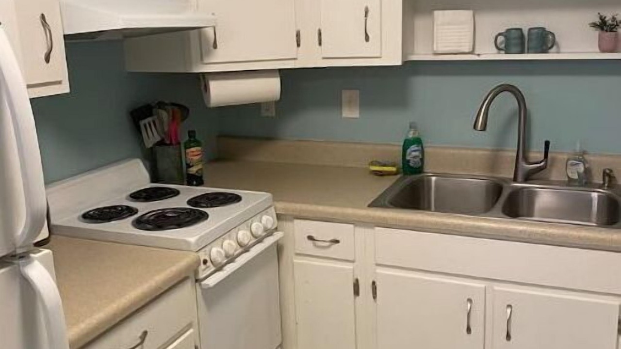 Photo of Kitchen in Dunedin
